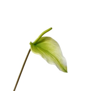 Artificial <b>Flower</b> <b>Single</b> Branch High Simulation Green For Wedding Outdoor Photography Home Decor - Product Image 1