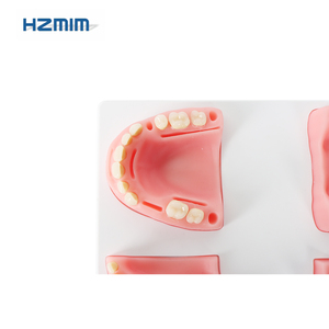 Modello di formazione dentale umano con denti in resina per uso alimentare Silicone sutura Pad per la pratica per le scuole e gli ospedali - Product Image 4