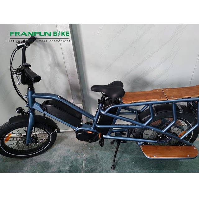 120KM M600 500W Bafang Mid Motor the Best Family Electric Bicycle Dual Batteries Fat Tires Cargo E Bike