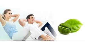 100% 순수 녹색 커피 콩 추출물 분말 천연 클로로겐산 풍부 - Product Image 6