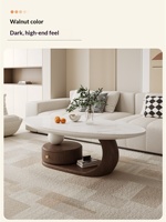 Table basse de salon moderne et minimaliste en ardoise et bois massif, style luxe léger, pour petit appartement, usage domestique, forme ovale