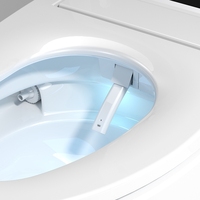 Accesorios de Baño Modernos de Lujo, Artículos Sanitarios, Asiento de Inodoro Inteligente Japonés de Cerámica Automático con Control Remoto y Calefacción