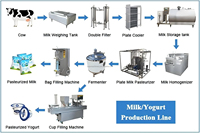 Industriële yoghurtverwerkingslijn, zuivelverwerkingsapparatuur, yoghurtproductielijn