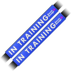 Manchon de <span class=keywords><strong>laisse</strong></span> pour <span class=keywords><strong>chien</strong></span> avec logo personnalisé, bouton, plus rapide, imperméable, <span class=keywords><strong>en</strong></span> PVC et caoutchouc, double face, <span class=keywords><strong>panneau</strong></span> d'avertissement, enveloppe de <span class=keywords><strong>laisse</strong></span>, ne pas caresser pendant l'entraînement - Product Image 6