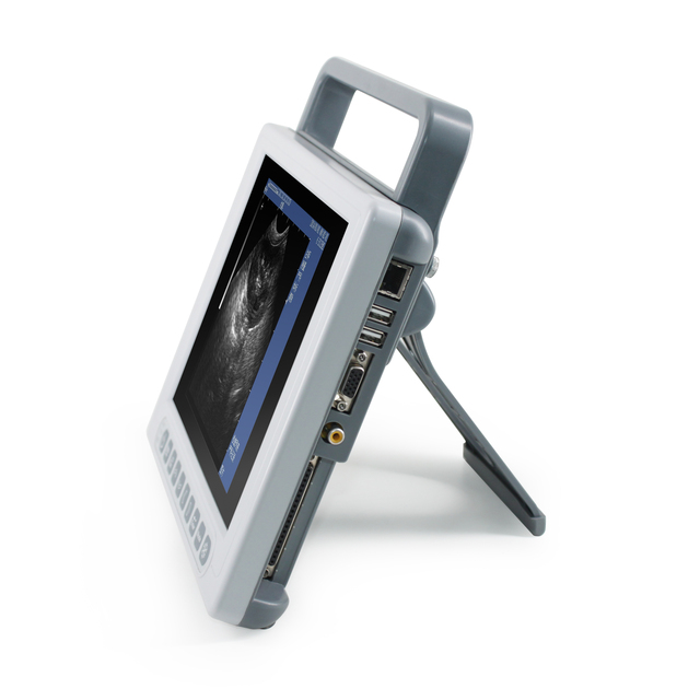 Portable Animal Ultrasound Veterinary Ultrasound for Medical Diagnostic Imaging Center Using Veterinary Ultrasound
