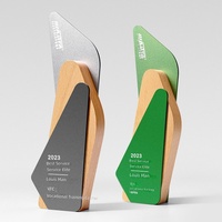Trophée créatif 2025 en bois de hêtre, médaille personnalisée pour gala annuel, gravure gratuite, impression numérique écologique, naturel