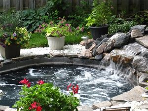 ช่วยคุณสร้างสวนบ่อ<span class=keywords><strong>ปลา</strong></span>ที่สวยงามและชัดเจนปรับปรุงคุณภาพน้ำและให้อัตราการอยู่รอดของปลา - Product Image 6