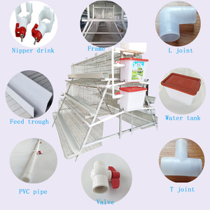 <span class=keywords><strong>Jaula</strong></span> para Gallinas de 96/128 Aves, Tipo A, 3/4 Niveles, Cría de Aves de Corral, Jaulas Automáticas para Gallinas Ponedoras - Product Image 2