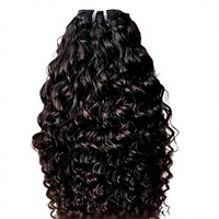 Extensions de cheveux humains brésiliens Remy naturels non traités de haute qualité Nandee House, texture Temple Kinky Straight, à clipser, 12 pouces, fabriquées à la machine