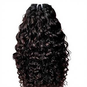 Extensions de cheveux humains brésiliens Remy naturels non traités de haute qualité Nandee House, texture Temple Kinky Straight, à clipser, 12 pouces, fabriquées à la machine - Product Image 2
