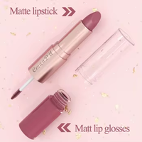 Crayon contour des lèvres 2-en-1 marron rose nude miroir liquide, dégradé effilé, waterproof, mat, sexy