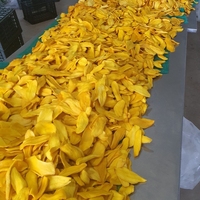 Beste Kwaliteit Vietnam Heerlijke Speciale Aanbieding Smakelijke Best Verkopende Tropische Sunrich Zacht Gedroogde Mango Zak 100G
