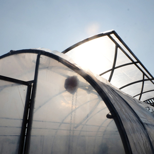 Large Dome High Tunnel Agriculture <b>Greenhouse</b> for Sale - Product Image 6