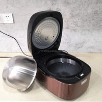 Autocuiseur Électrique Professionnel 5L 1200W à Cuisson Rapide et Lente, Faible Teneur en Sucre et en Glucides, Chauffage par Induction, pour Camping-Car, avec Minuteur Retardé