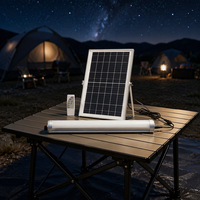 Lampu LED Tenaga Surya Tahan Air IP65 untuk Luar Ruangan, Model Tabung dengan Panel Terpisah, Dapat Diredupkan dengan Remote Control, 30W 60W untuk Taman dan Jalan