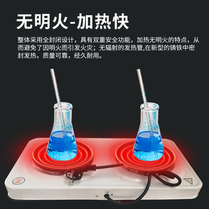 Horno Eléctrico Cerrado Ajustable Tipo Fd, 300 Grados, 220V, Equipo de Laboratorio para Calentamiento Experimental - Product Image 2