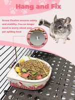 Bol d'alimentation suspendu en céramique, anti-déversement, pour chinchilla, cochon d'Inde, lapin, hamster syrien, furet, gerbille