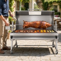 Barbecue de Luxe d'Extérieur à Gaz avec Rôtissoire en Acier Inoxydable, Gril Personnalisé au Gaz Naturel ou Propane, Plaque de Cuisson de Luxe pour Jardin, Capacité de Charge 80kg