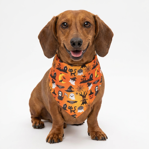 בנדנה לכלב עם הדפס ליל כל הקדושים, הדפס מותאם אישית עם לוגו, בנדנה משולשת לכלב - Product Image 4