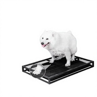 Toilette pour chien pour grands chiens Golden Retriever Husky Lavable Écologique Pot à pipi et à caca pour grand chien Fournitures pour animaux de compagnie Fabriqué en Chine