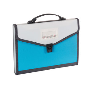 A4 Foolscap Nhựa Gia Cố 13 Túi Mở Rộng Thư Mục Tệp Có Tay Cầm Và Các Cạnh Được May - Product Image 3