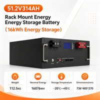Batterie LiFePO4 51,2 V pour stockage d'énergie solaire hors réseau, stockage d'énergie commercial, alimentation photovoltaïque 51,2 V