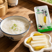 Spicy Pickled Bamboo Shoot Strips Crunchy Sour Shredded Bamboo Snack Ready to Eat Appetizer 428g