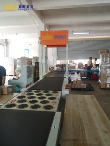 Customization Factory Direct Supply Fengwang PLC DWS Scanner Fast Tool Scan Barcode Weighing Scanning Photo Capture Warehouse - Product Image 3