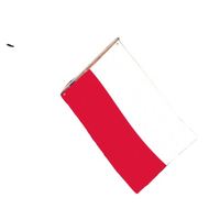 Drapeaux de Pologne en gros 3x5 pieds, polyester 100D, personnalisation de tous les pays, expédition rapide, fournisseur fiable, livraison rapide