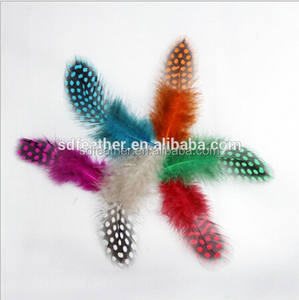 Plumas <span class=keywords><strong>de</strong></span> <span class=keywords><strong>Gallina</strong></span> <span class=keywords><strong>de</strong></span> <span class=keywords><strong>Guinea</strong></span> Pequeñas Teñidas <span class=keywords><strong>de</strong></span> 1-3 Pulgadas, Coloridas, Personalizadas, <span class=keywords><strong>de</strong></span> Excelente Calidad y <span class=keywords><strong>Precio</strong></span> Razonable, <span class=keywords><strong>de</strong></span> Fábrica Líder en Plumas, en Venta - Product Image 6