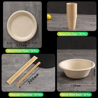 Umweltfreundliches 4-in-1 Kompostierbares Geschirrset, Einweg-Teller, Schüssel und Becher aus Bagasse für Hochzeiten, Partys und Catering