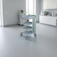 Chariot d'endoscopie flexible de haut niveau CLEBER ETA1040, qualité hospitalière, garantie 1 an, fabriqué en Turquie, assistance technique en ligne