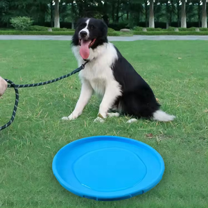 Fabrika toptan köpek uçan Disk köpek Chew uçan Disk oyuncak uçan Disk oyunu - Product Image 3