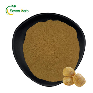Estratto di Hericium Erinaceus organico estratto di criniera di leone in polvere Beta 1,3/glucano 1,6 <span class=keywords><strong>20%</strong></span> polisaccaridi 30% - Product Image 1