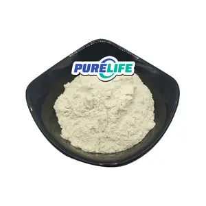 Supply Nutritional CAS 5905-52-2 Food Grade Additive Supplements Ferrous Lactate