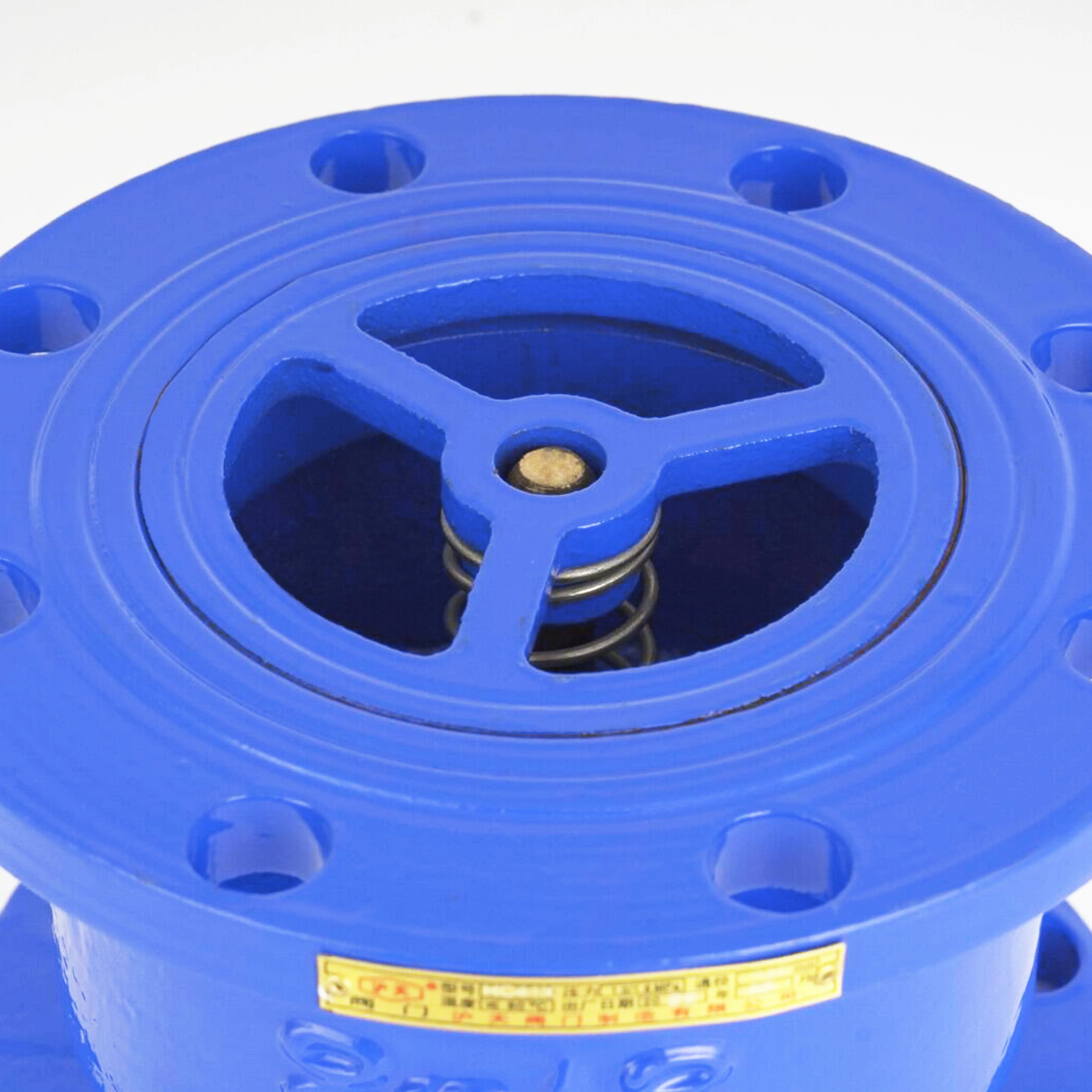 High Quality Factory Hot Sale Mental Check Valve Water 1 Piece Blue Normal Temperature Check Valve 8 Inch Hydraulic General