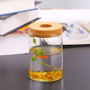 Station de propagation classique pour plantes en <span class=keywords><strong>terrarium</strong></span>, pots en verre transparent pour plantes hydroponiques, décoration de sol et de maison - Product Image 2