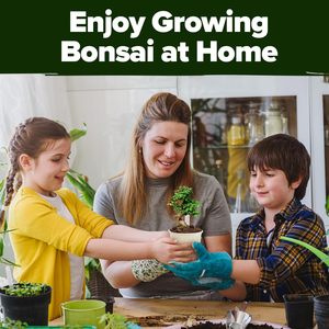 <span class=keywords><strong>Kit</strong></span> de Cultivo de Bonsái Ecológico al por Mayor con Flor Artificial para Uso en el Hogar y Jardín - Regalo de Jardinería de Hortalizas de Cosecha Tradicional - Product Image 2