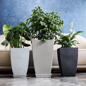 <span class=keywords><strong>Maceta</strong></span> <span class=keywords><strong>de</strong></span> plástico para balcón familiar, sala <span class=keywords><strong>de</strong></span> estar, jardín, extra grande, cuadrada, redonda, con parte trasera <span class=keywords><strong>de</strong></span> <span class=keywords><strong>tortuga</strong></span>, árbol rico <span class=keywords><strong>de</strong></span> bambú, Planta grande - Product Image 2