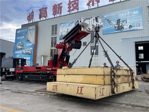 A 35-ton Crawler <b>Crane</b> with 18.8m Working Radius Construction Use Gearbox & Engine - Product Image 5