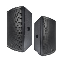 Système de sonorisation PA professionnel actif de 15 pouces, Bluetooth TWS, haut-parleur amplifié bi-amplifié avec DSP pour scène, concert, événement