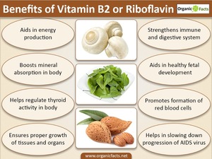 Polvere di Riboflavina Vitamina <span class=keywords><strong>B2</strong></span> Pura di Grado Alimentare a Prezzo di Fabbrica - Product Image 6