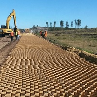 Stabilisateur de gravier Hdpe Geocell 50mm Geo Cell Prix du fabricant Geocell Grille au sol pour allée de passerelle de terres agricoles