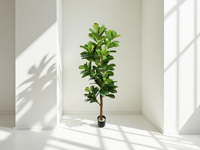 Ficus Lyrata réaliste, grand arbre artificiel en pot, verdure bionique décorative pour le salon, le meuble TV, le sol