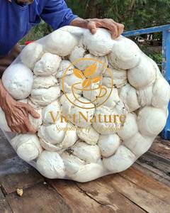 [Haute pureté] Caoutchouc industriel vietnamien non traité, résistant au vieillissement, en forme de bloc, pour la fabrication de bandes transporteuses et de tuyaux - Product Image 2