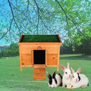 Feral Cat Rabbit Pet Kennel Perch Hutches House Cage Furniture Weatherproof Casa Para Gato Wooden Outside Small Animals Outdoor