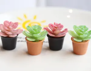 pink blue color various designs 3d cartoon action toy figures resin succulent plant figure