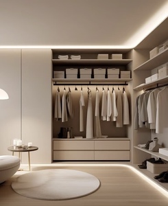 Vente en gros usine : <span class=keywords><strong>Dressing</strong></span> <span class=keywords><strong>blanc</strong></span> avec rangement zoné, meuble de chambre sur mesure - Product Image 3