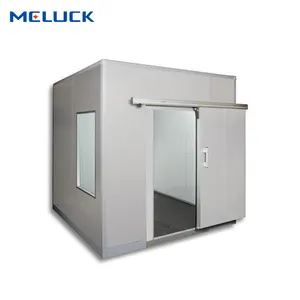 Warehouse Construction Low Price Walk In Refrigerator Small Freezer Cold Storage Project
