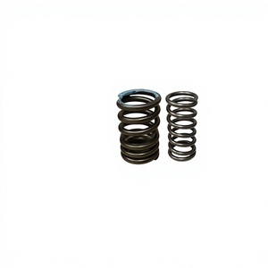 Fit For Tata Telcoline 207 Sumo Winger SCV Carrier Valve Spring 254705128706 483DL 4DL 1.9L Engine Parts - Product Image 1